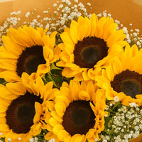 باقة يد من عباد الشمس والجيبسوفيلا