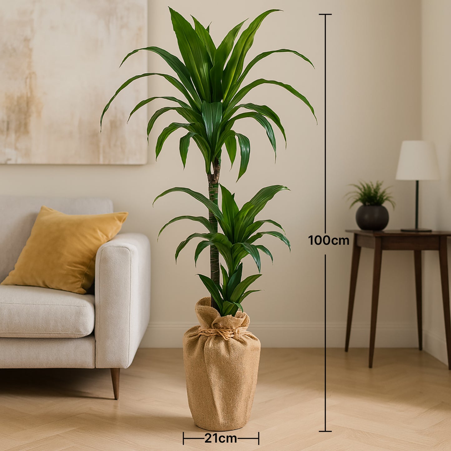 Elegant Twin-Stem Dracaena with Eco-Friendly Jute Wrap