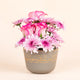 A Bloomed Beginning: Elegant Pink Floral Arrangement