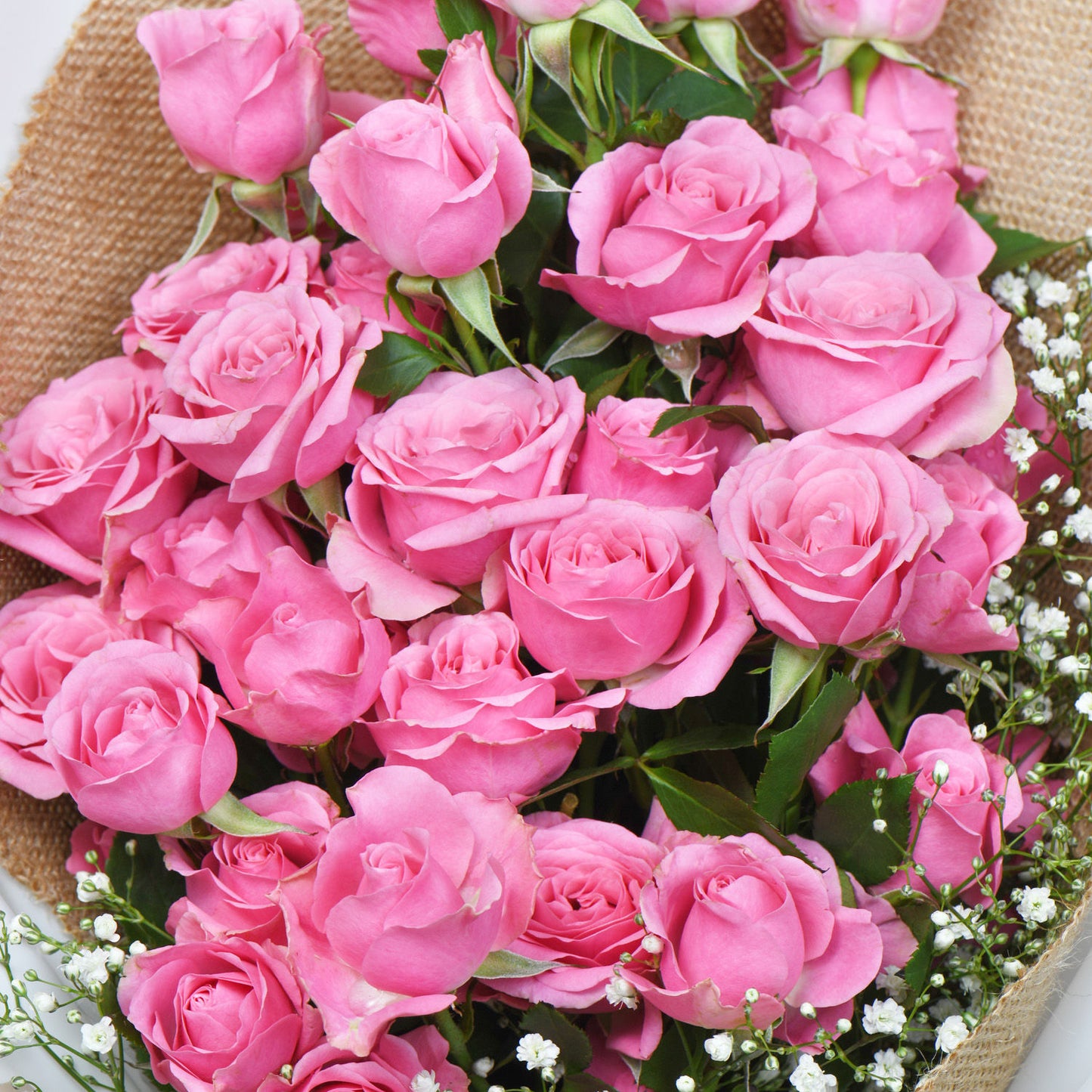Elegant Blushing Beauty Pink Rose Bouquet