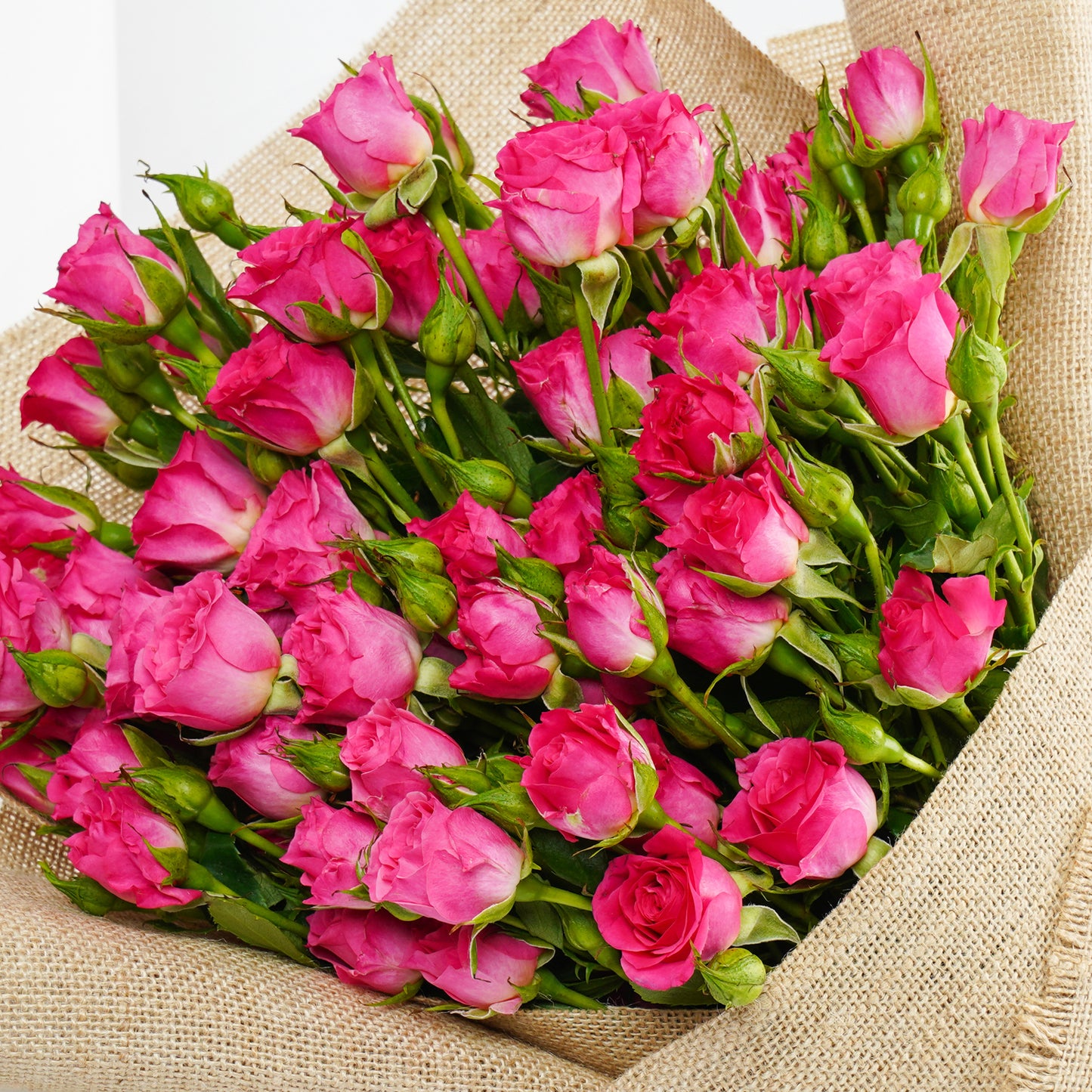 Exquisite Bold & Blooming Dark Pink Spray Roses Bouquet