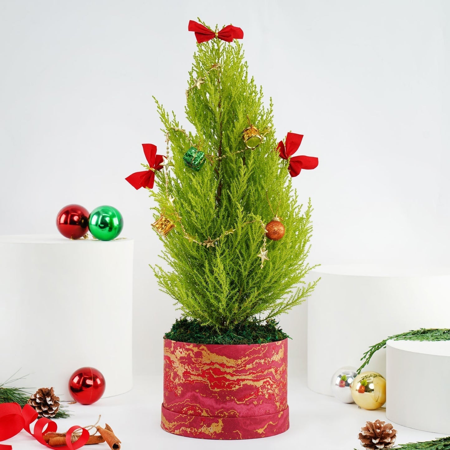 Festive Decorated Christmas Cupressus Plant in Elegant Pot