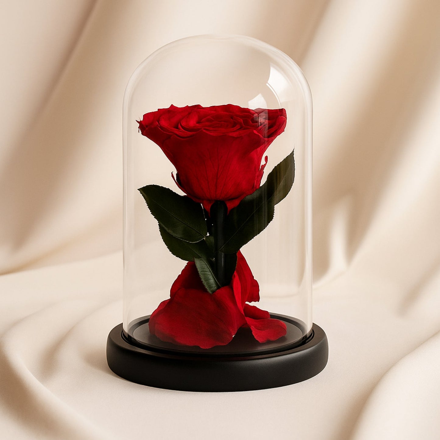 Forever Pure Rose