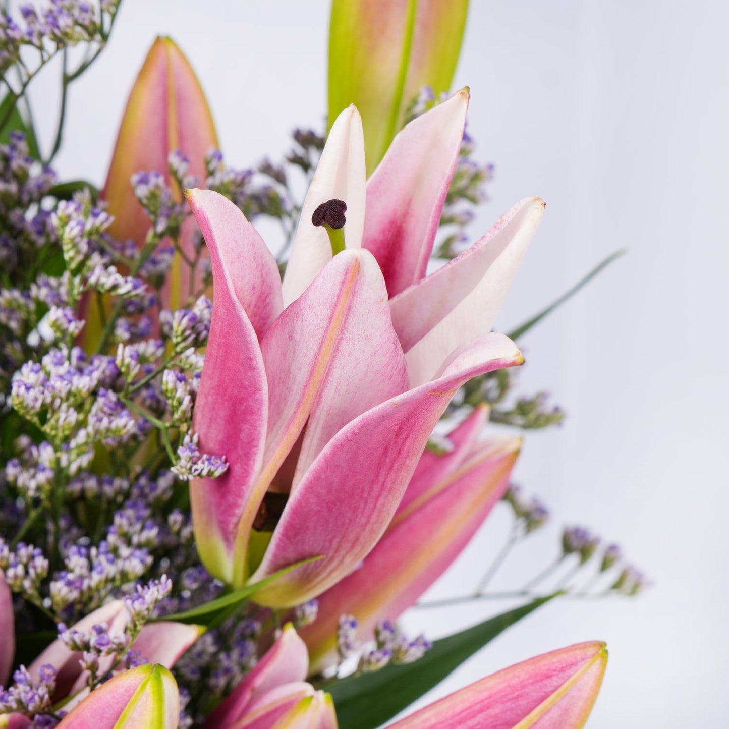 Elegant Grand Pink Petals Arrangement in Glass Vase