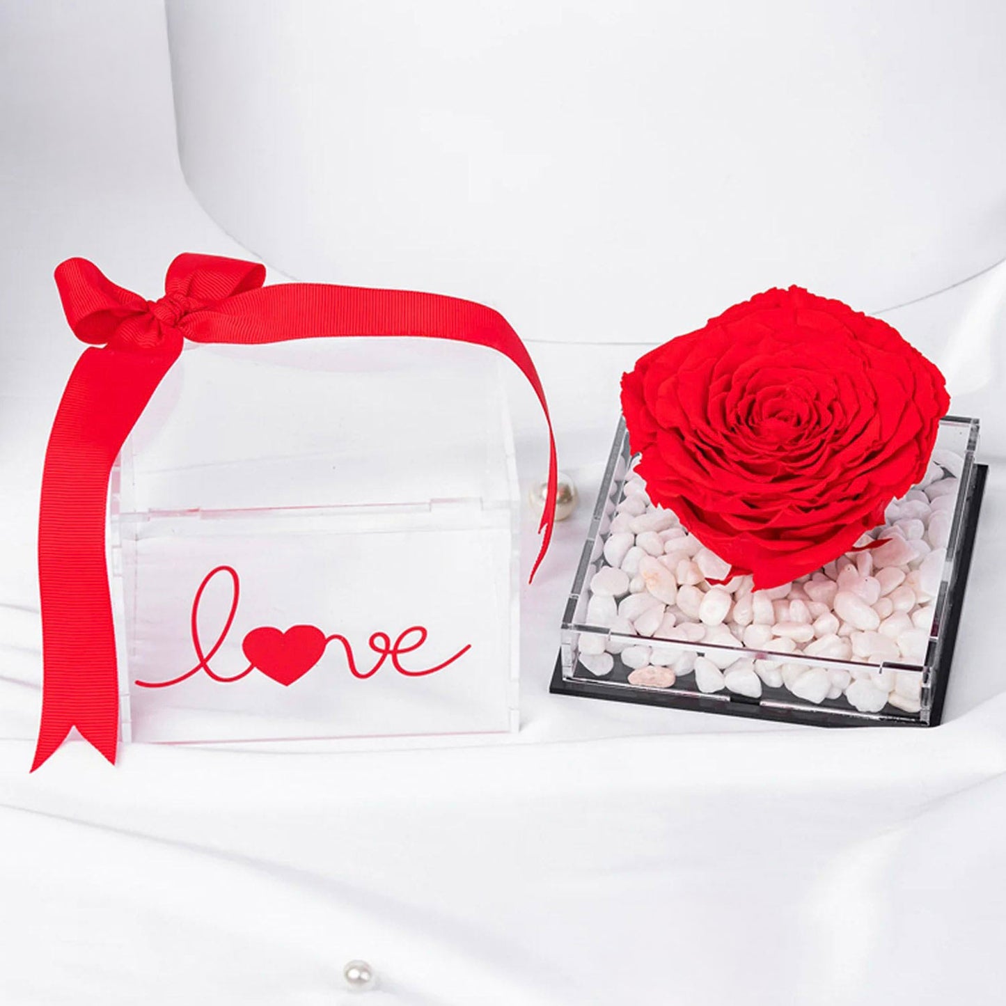Eternal Love Forever Rose in Elegant Display Case