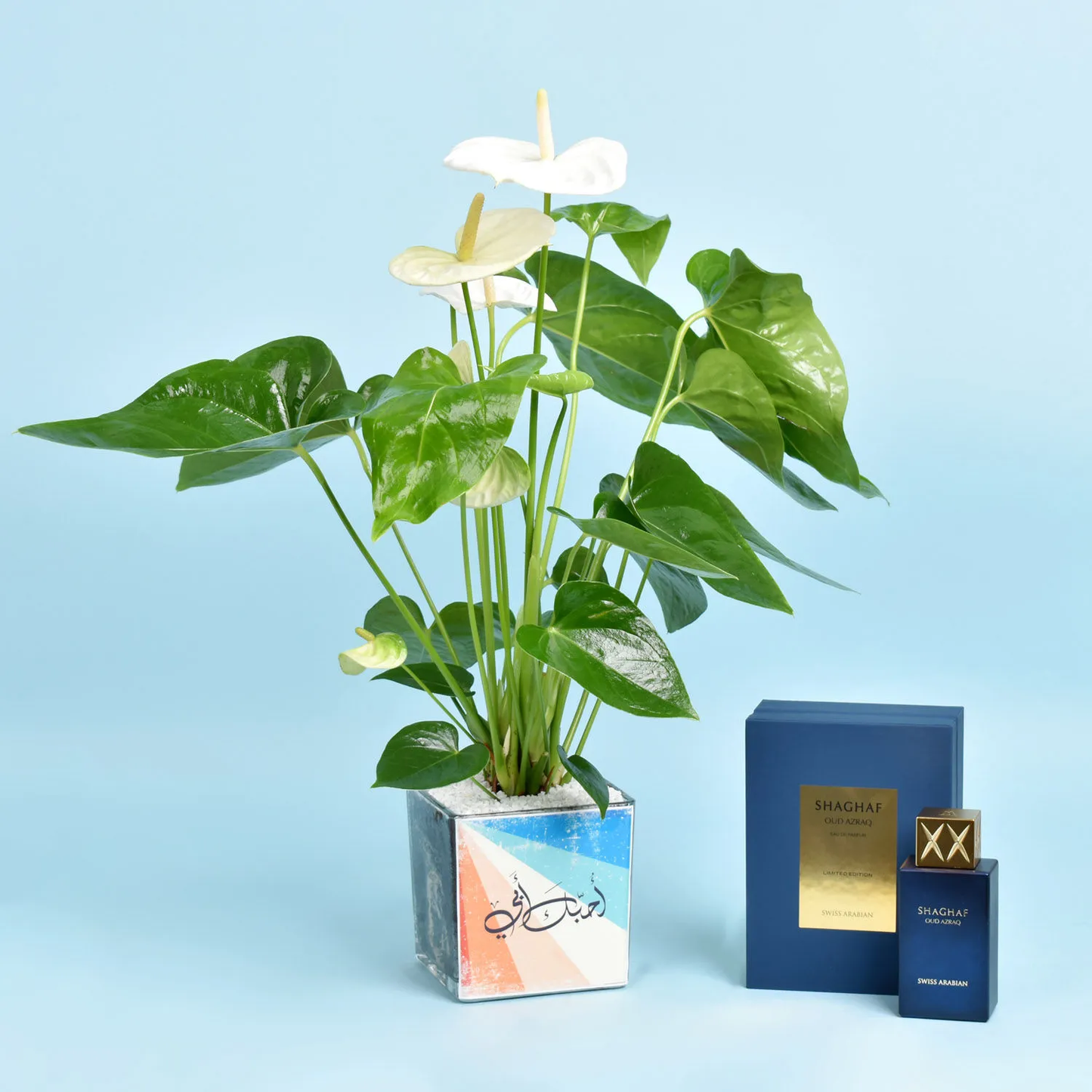 Cherish Dad: White Anthurium with Shaghaf Oud Azraq Perfume Set