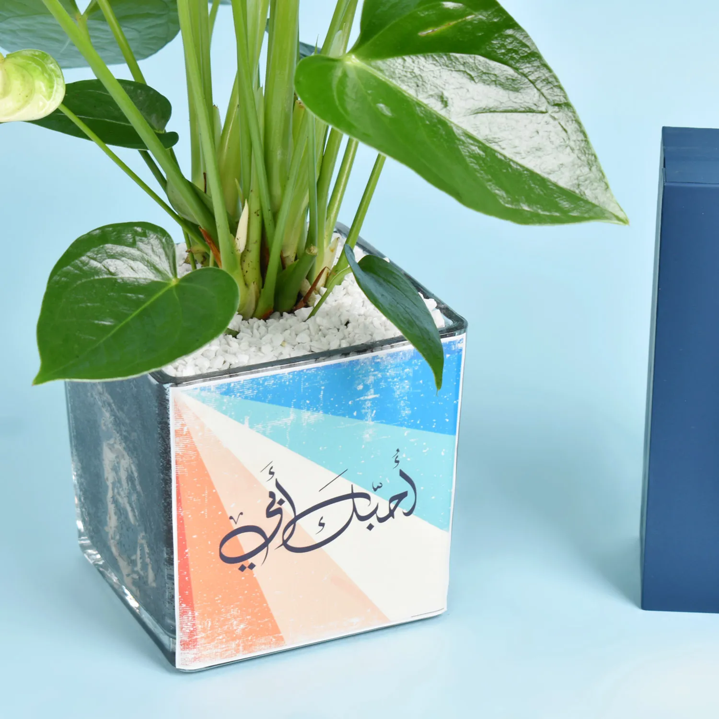 Cherish Dad: White Anthurium with Shaghaf Oud Azraq Perfume Set
