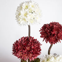 تنسيق زهور الأقحوان الأنيق لليوم الوطني مع شوكولاتة