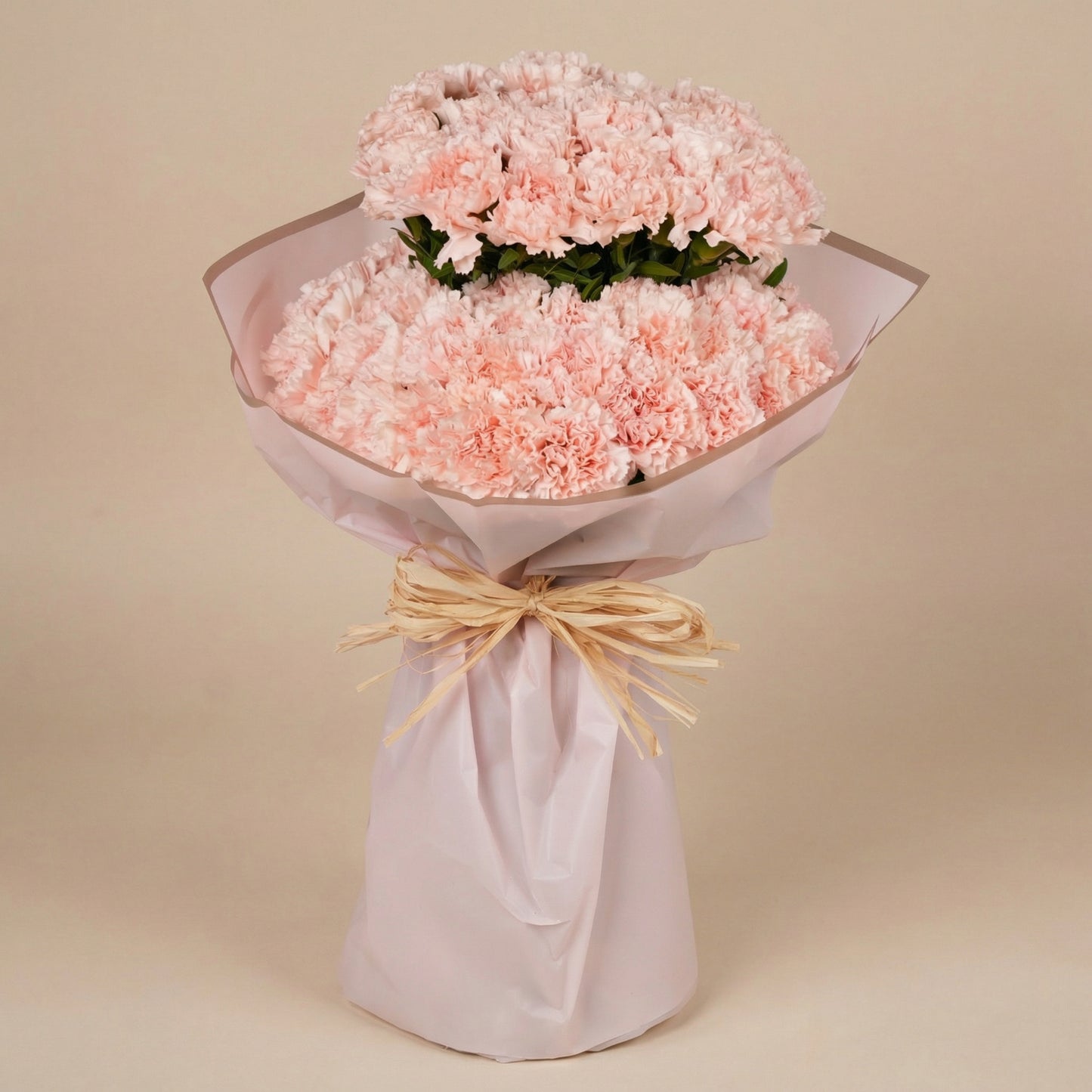 Elegant Bouquet of Tender Touch Carnations