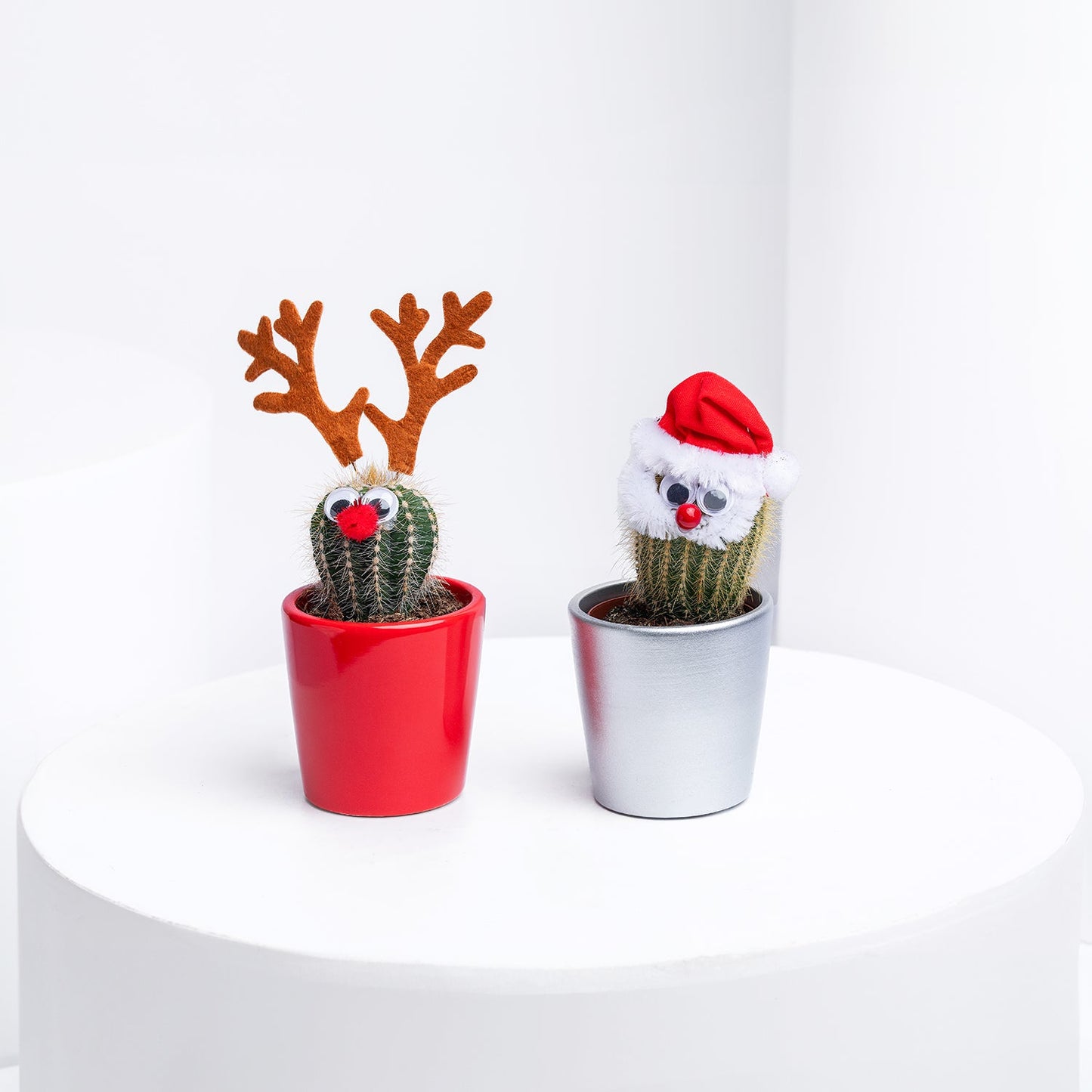Festive Christmas-Themed Cactus Plant Set