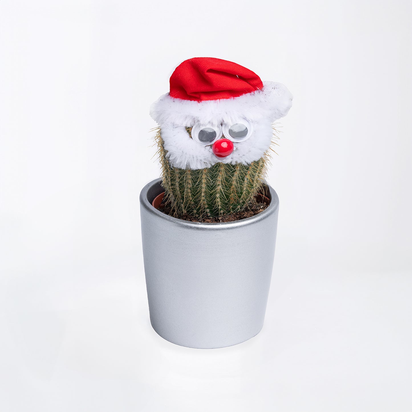 Festive Christmas-Themed Cactus Plant Set