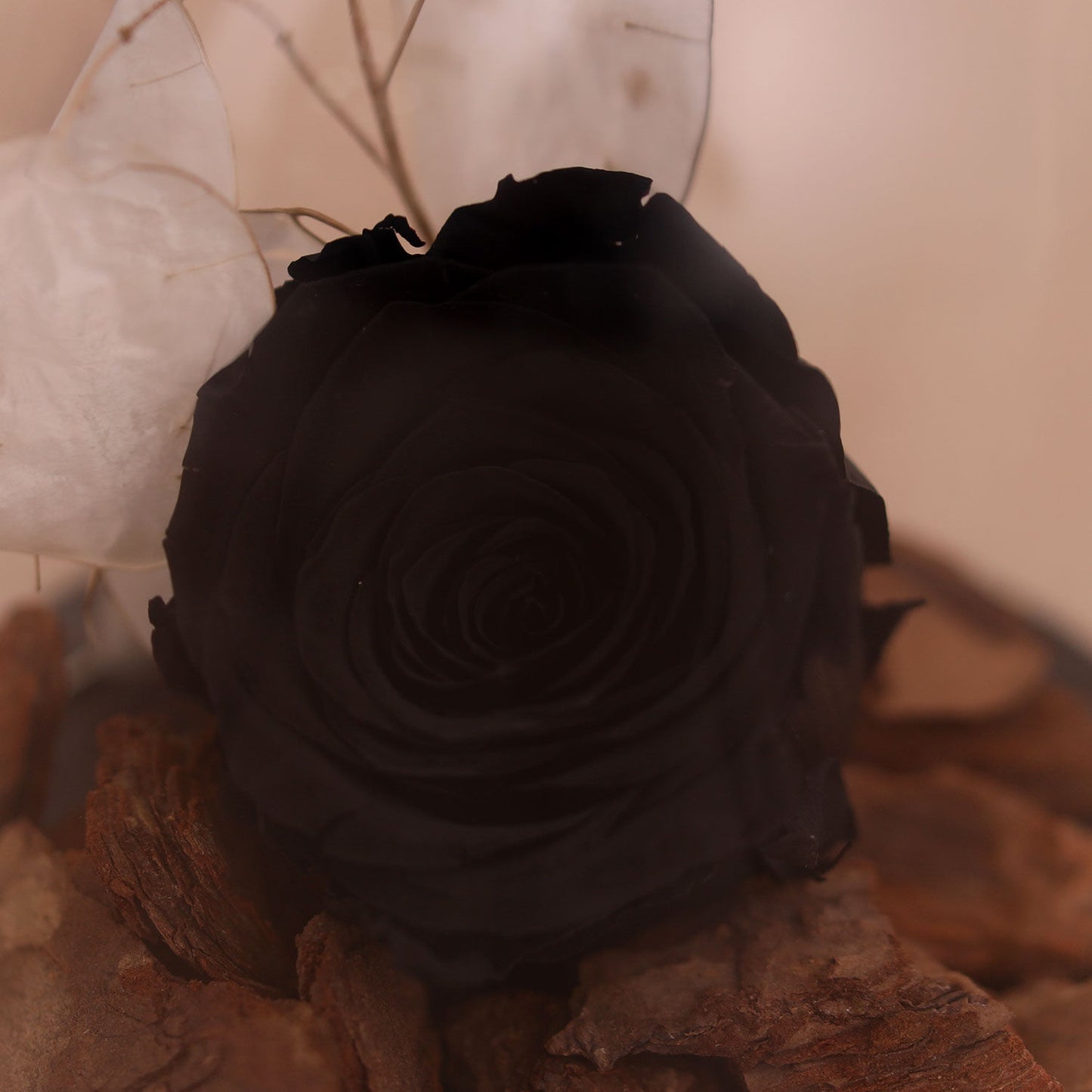Elegant Black Forever Rose in Premium Glass Dome with Wooden Base