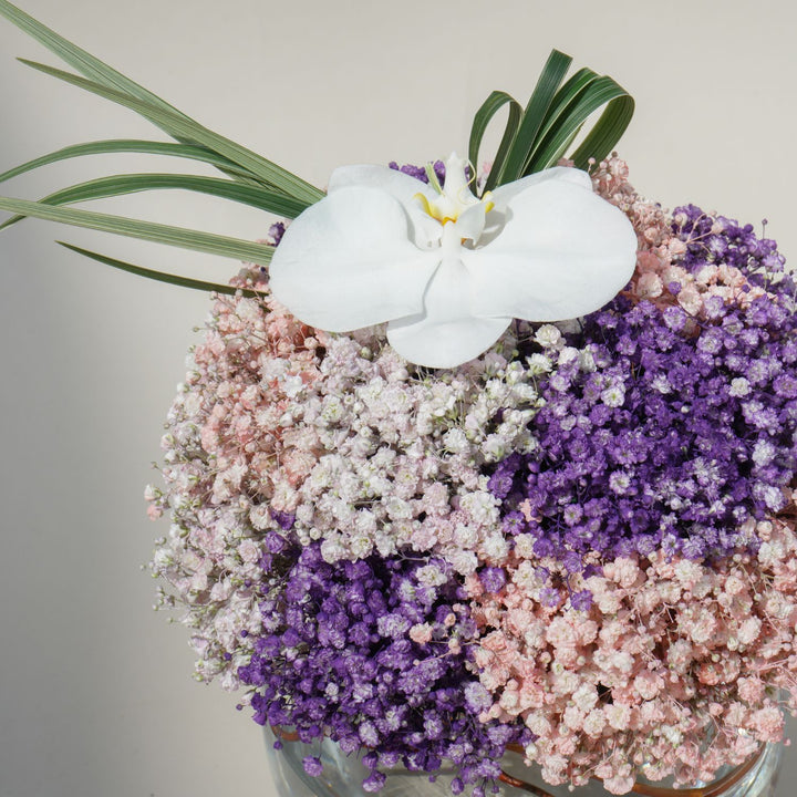 سيمفونية زهور ساحرة: أنفاس الأطفال متعددة الألوان في وعاء زجاجي