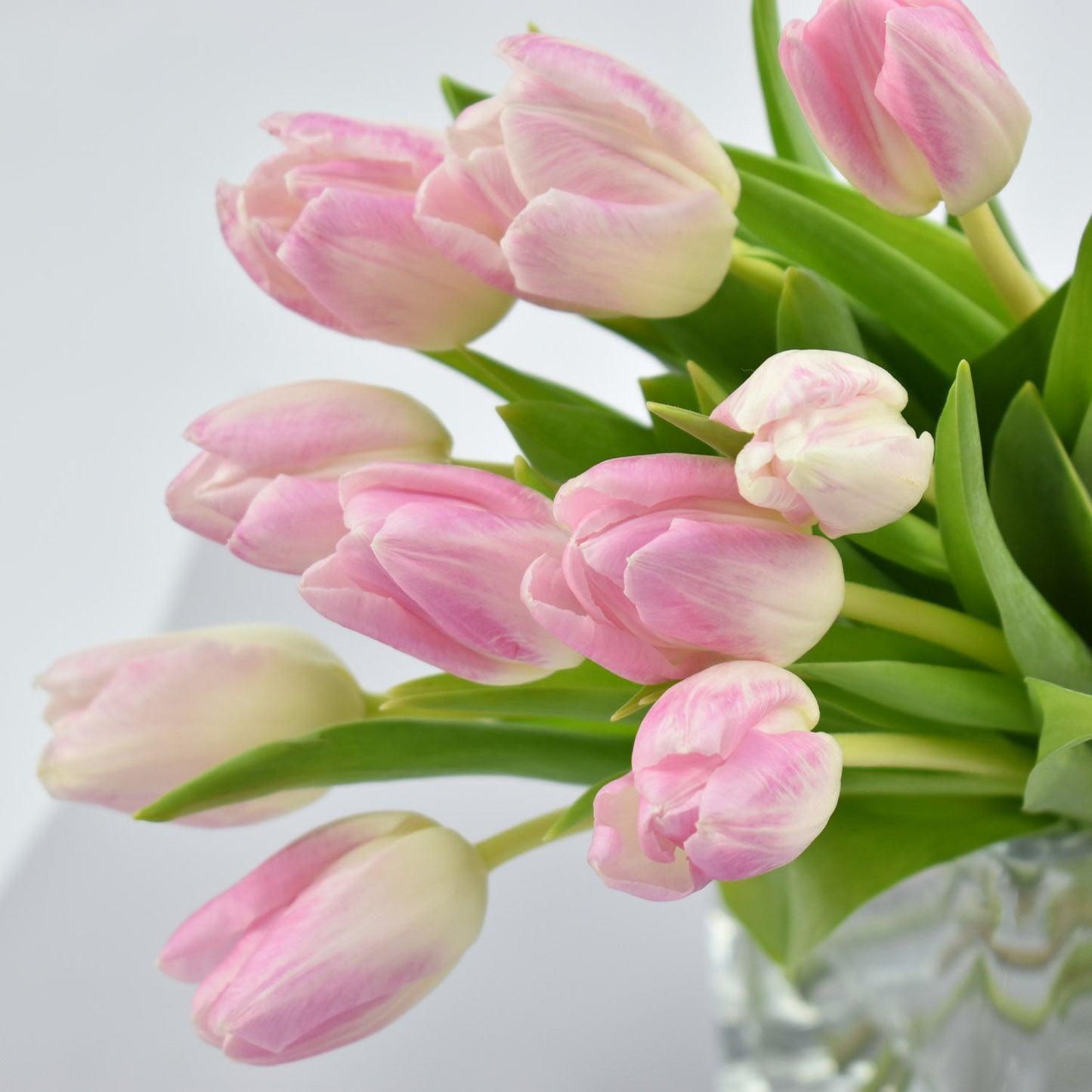 Elegant Pink Roses and Tulips Arrangement in a Glass Vase