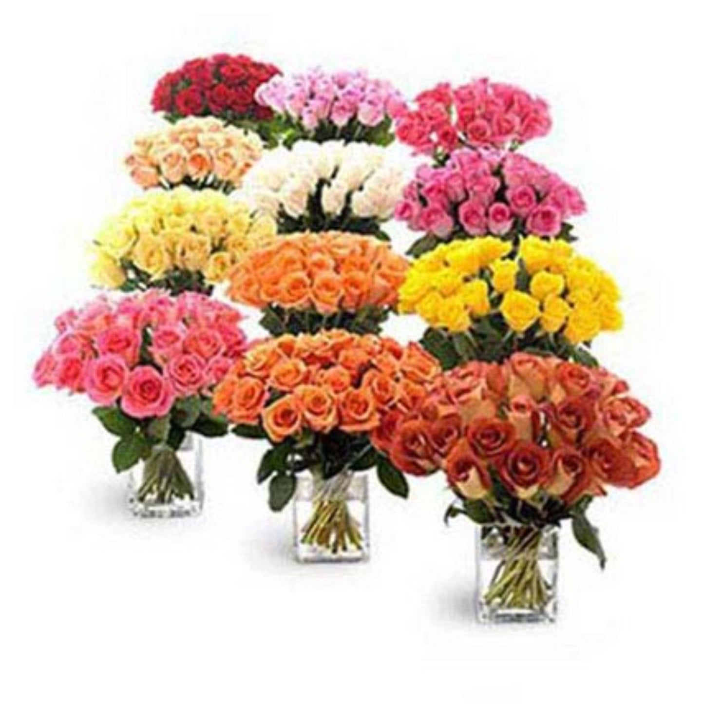 Exquisite Collection: Twelve Unique Bouquets of Roses