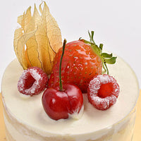 كعكة الفانيليا المنفردة الرائعة