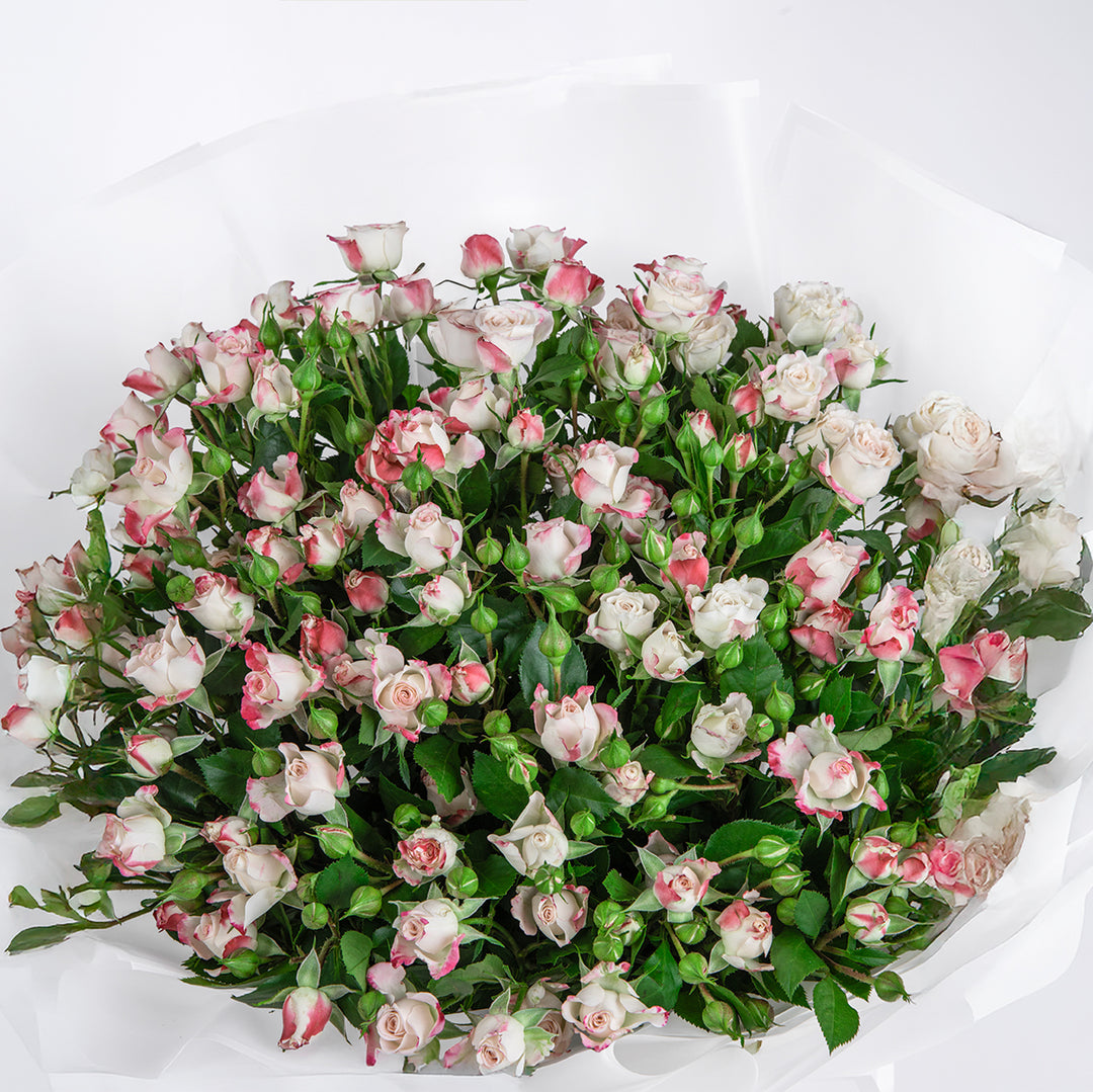 Flores de Amor: Elegant Dual Color Baby Rose Bouquet