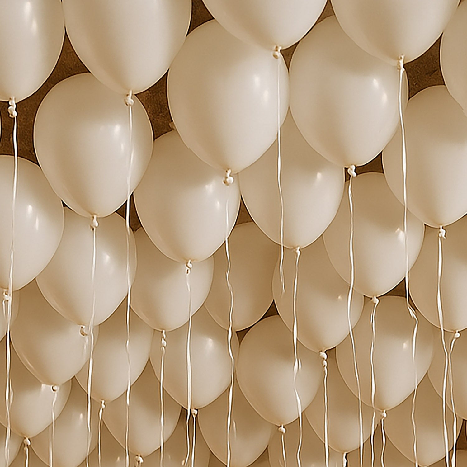 100 White Balloons
