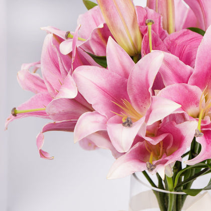 Blushing Pink Lillies III