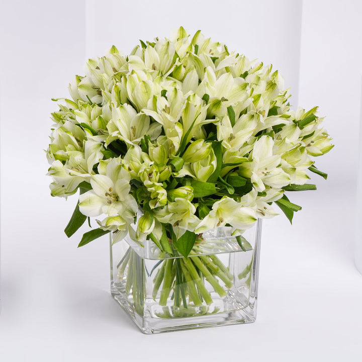 White Alstromeria Flower Vase Arrangement