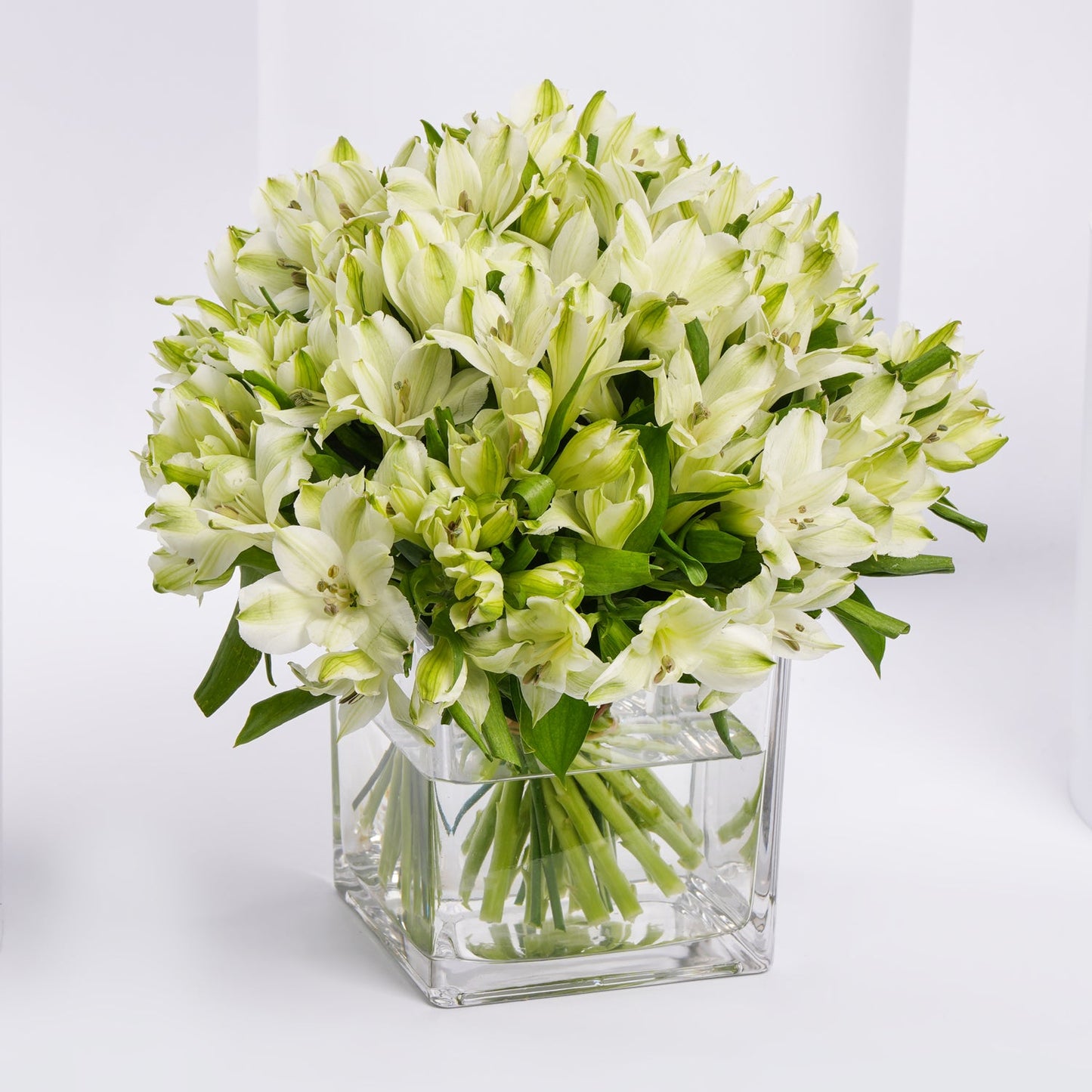 White Alstromeria Flower Vase Arrangement