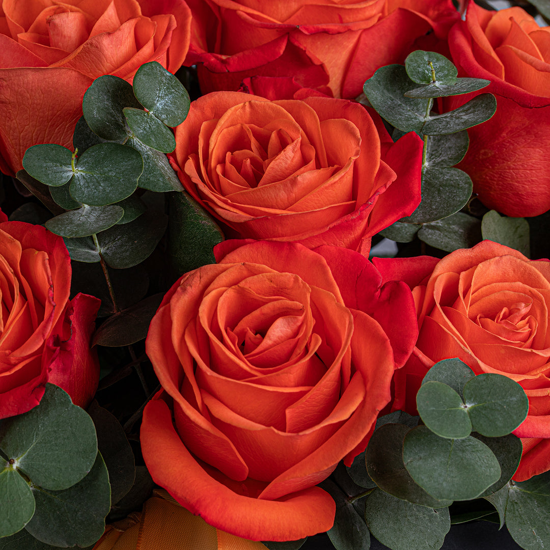 Kenooz Luxury Gift Box with 15 Vibrant Orange Roses & Exclusive Scented Collection