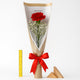 Simple Gesture Red Carnation Bouquet