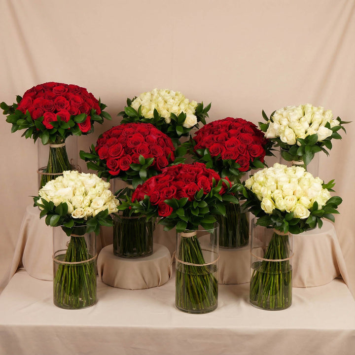 مجموعة الورود الحمراء والبيضاء الأنيقة في مزهريات زجاجية