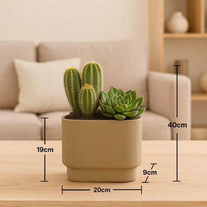 Desert Harmony Cactus & Succulent Duo in Modern Pot