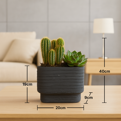 Modern Minimalist Cactus & Succulent Planter