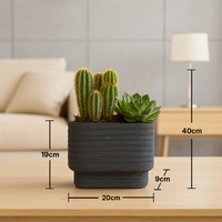 Elegant Modern Minimalist Cactus & Succulent Planter
