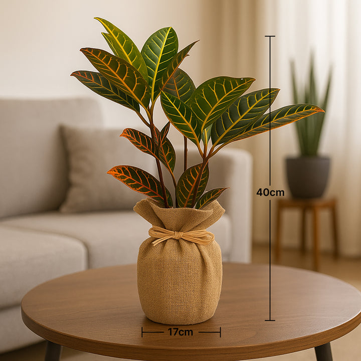 Elegant Jute Wrapped Croton Plant - Vibrant Indoor Decor