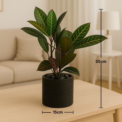 Tropical Croton in Charcoal Planter