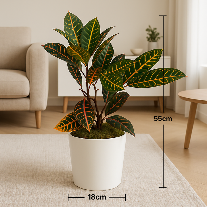 Vibrant Tropical Croton Foliage Plant in Elegant Marble Finish Pot