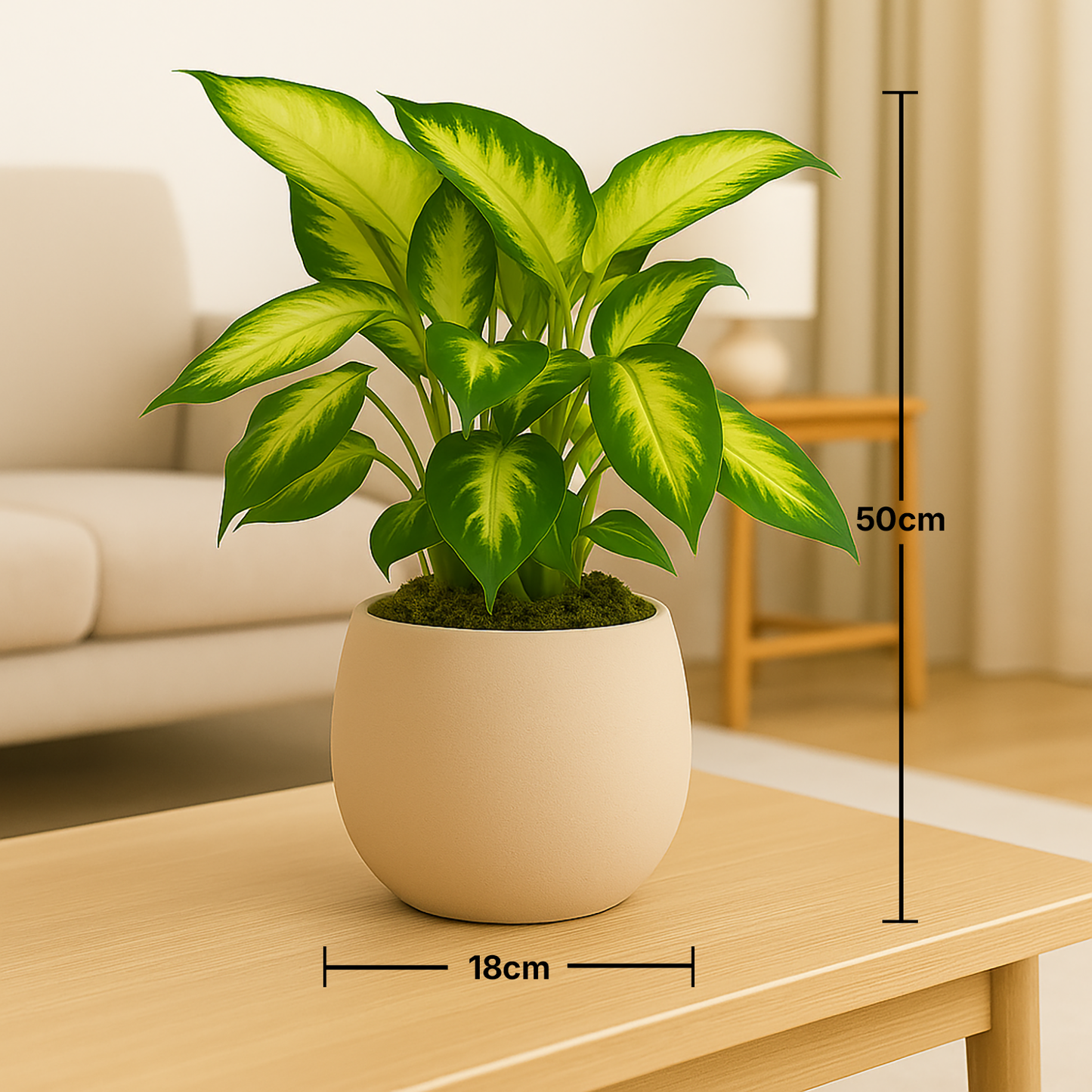 Golden Glow Dieffenbachia in Elegant Beige Vase