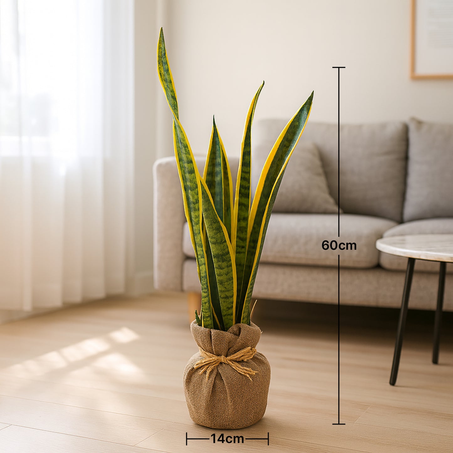 Elegant Jute Wrapped Sansevieria Laurentii - Perfect Indoor Decor
