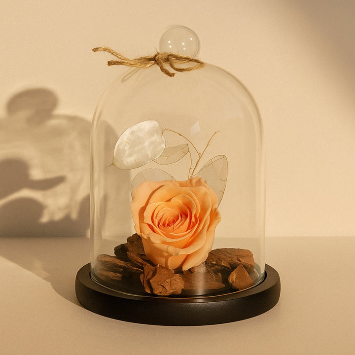 Elegant Peach Forever Rose in Premium Glass Dome