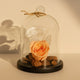 Elegant Peach Forever Rose in Premium Glass Dome
