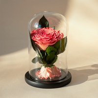 هدية تذكار قلب الأم: وردة أبدية ومجموعة مجوهرات الزهرة الذهبية