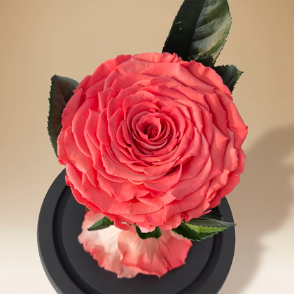 هدية تذكار قلب الأم: وردة أبدية ومجموعة مجوهرات الزهرة الذهبية