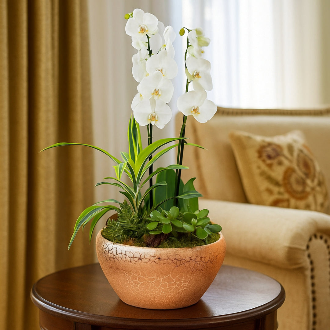 Elegant Surprise Plants in a Decorative Golden Pot