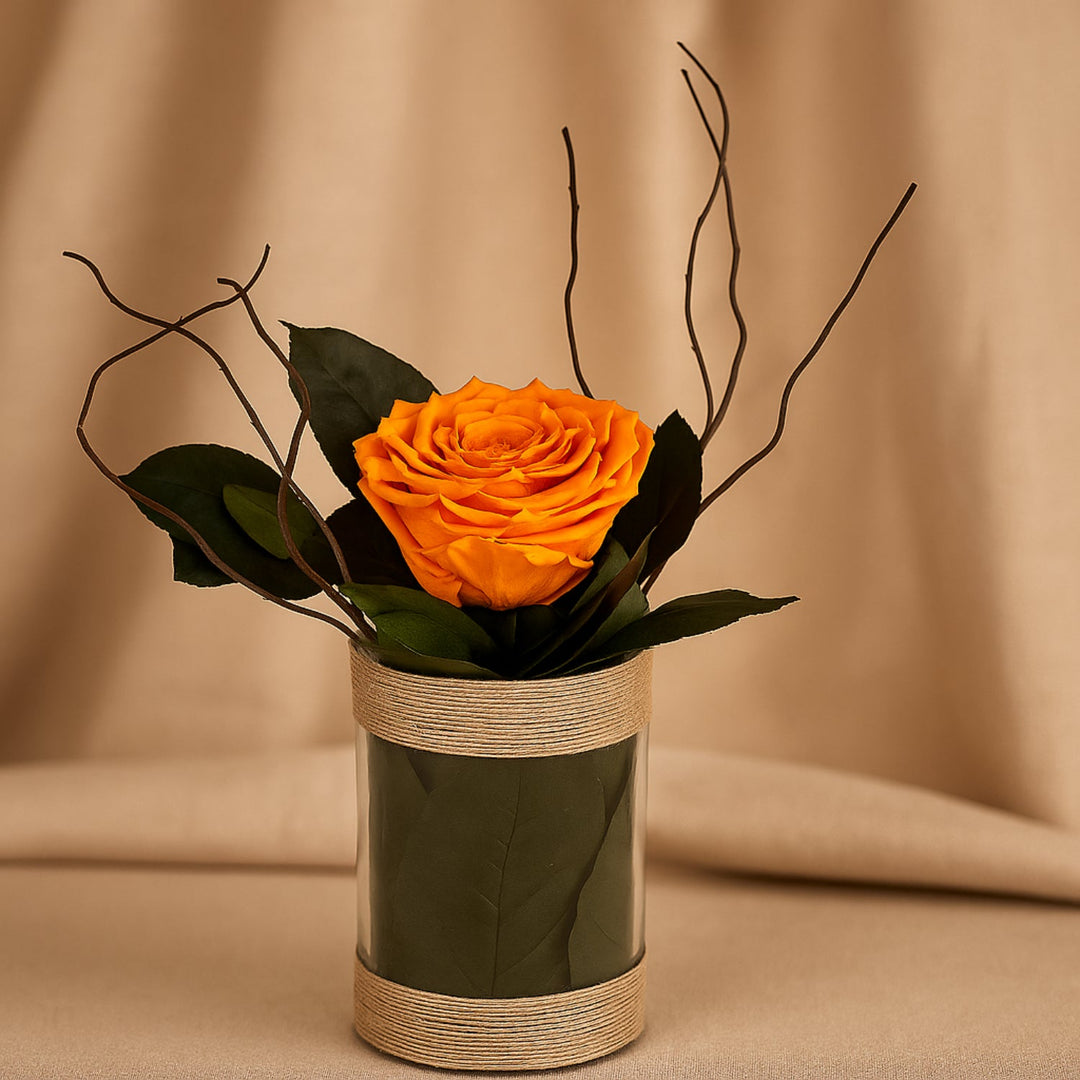 وردة العنبر الأبدية في مزهرية زجاجية أنيقة - جمال خالد