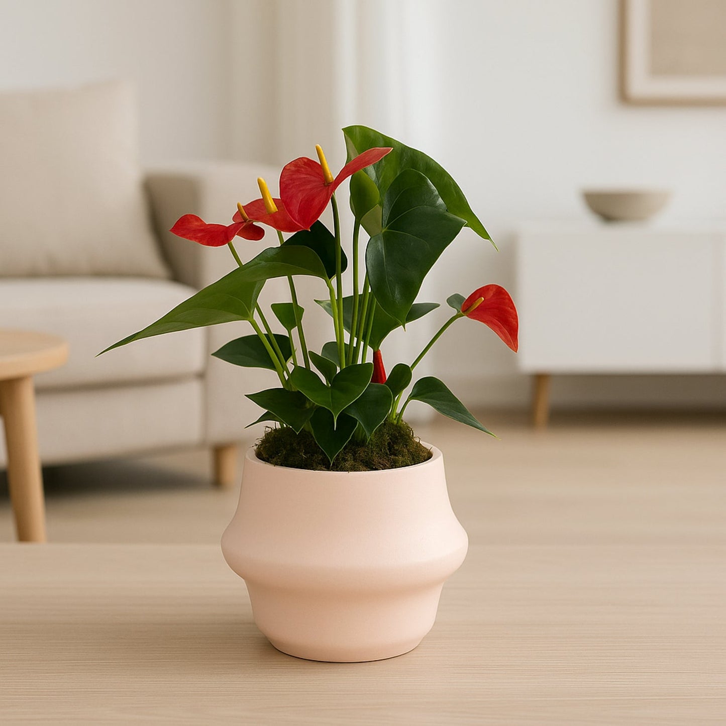 Elegant Anthurium Red in Stylish Handmade Rose Pot