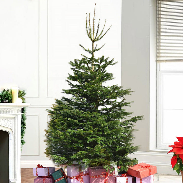 Deluxe 6-Foot Artificial Christmas Tree - Lush and Realistic