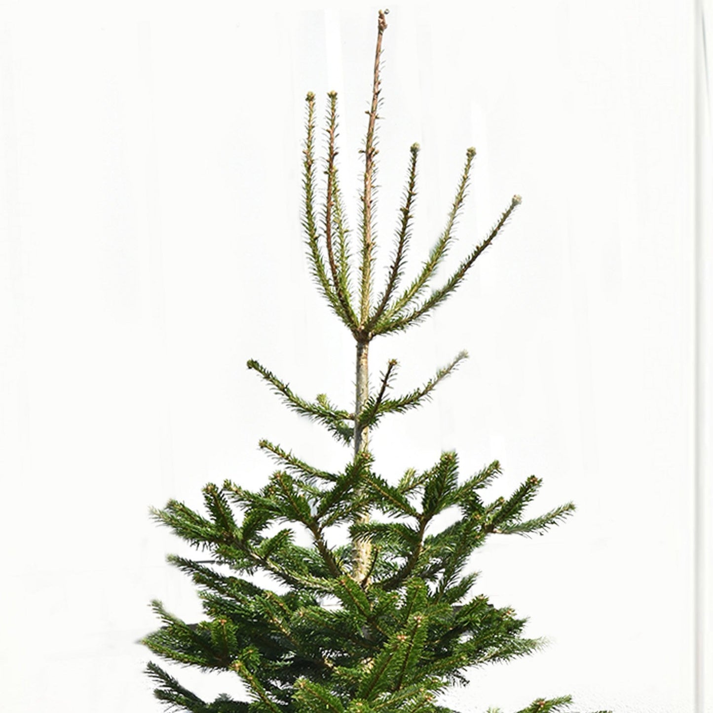 Deluxe 6-Foot Artificial Christmas Tree - Lush and Realistic