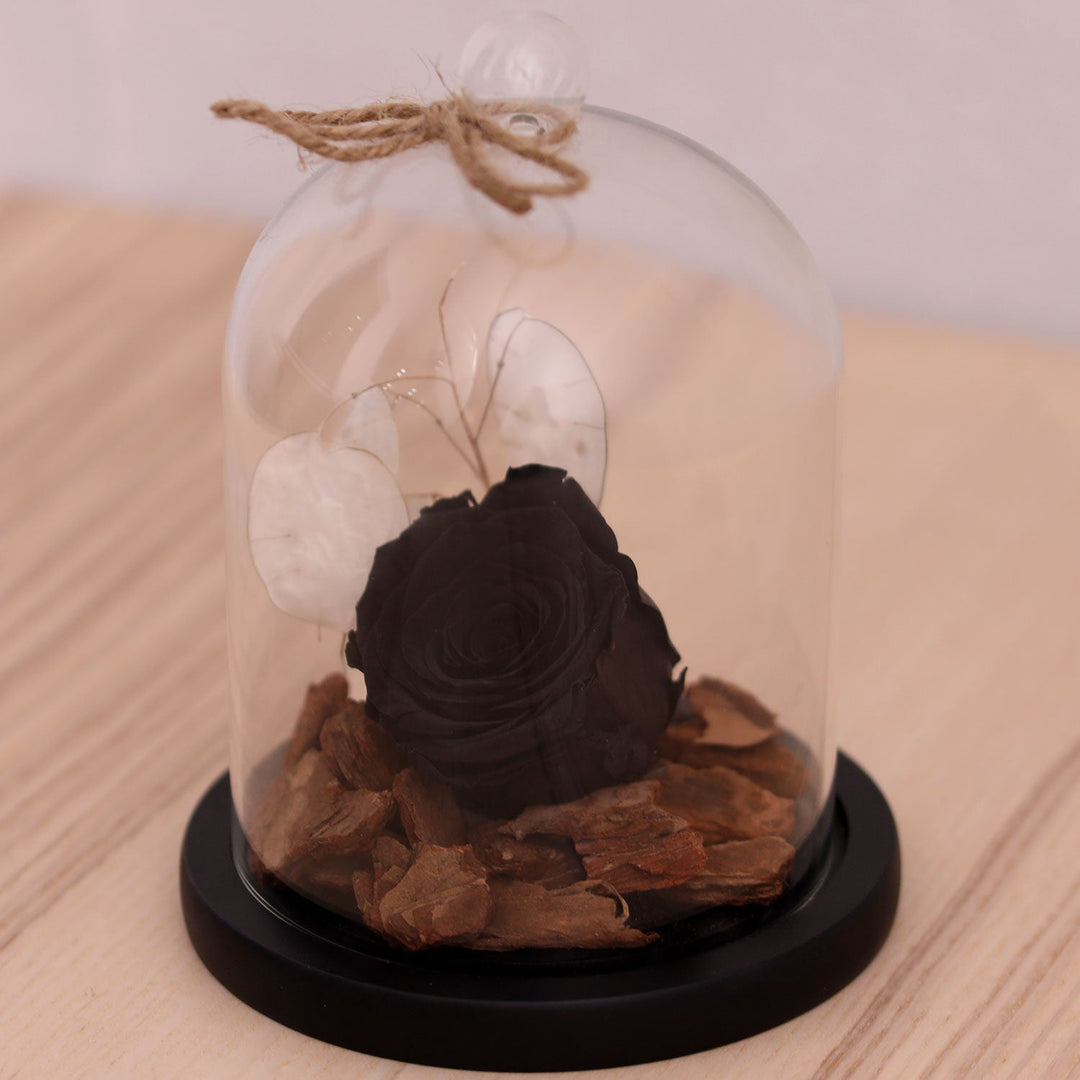 Eternal Black Rose in Glass Dome - Timeless Elegance