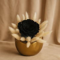 Bold Black Single Forever Rose