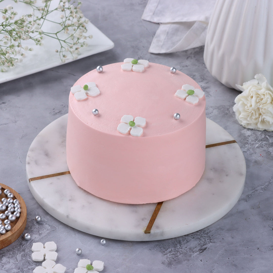 كيكة البينتو بالشوكولاتة الأنيقة - 250 جرام من اللذة