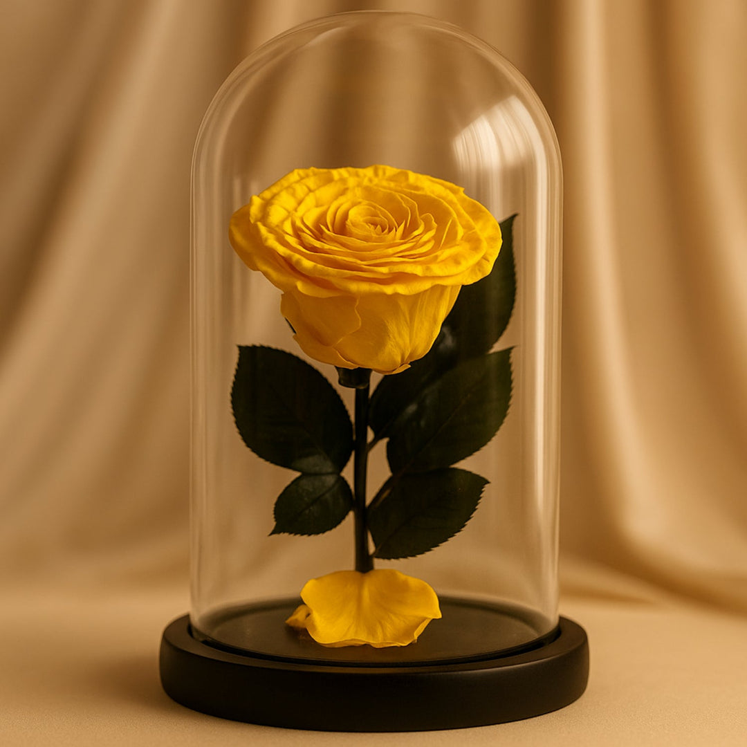 إزهار مشرق: وردة صفراء أبدية تحت قبة زجاجية