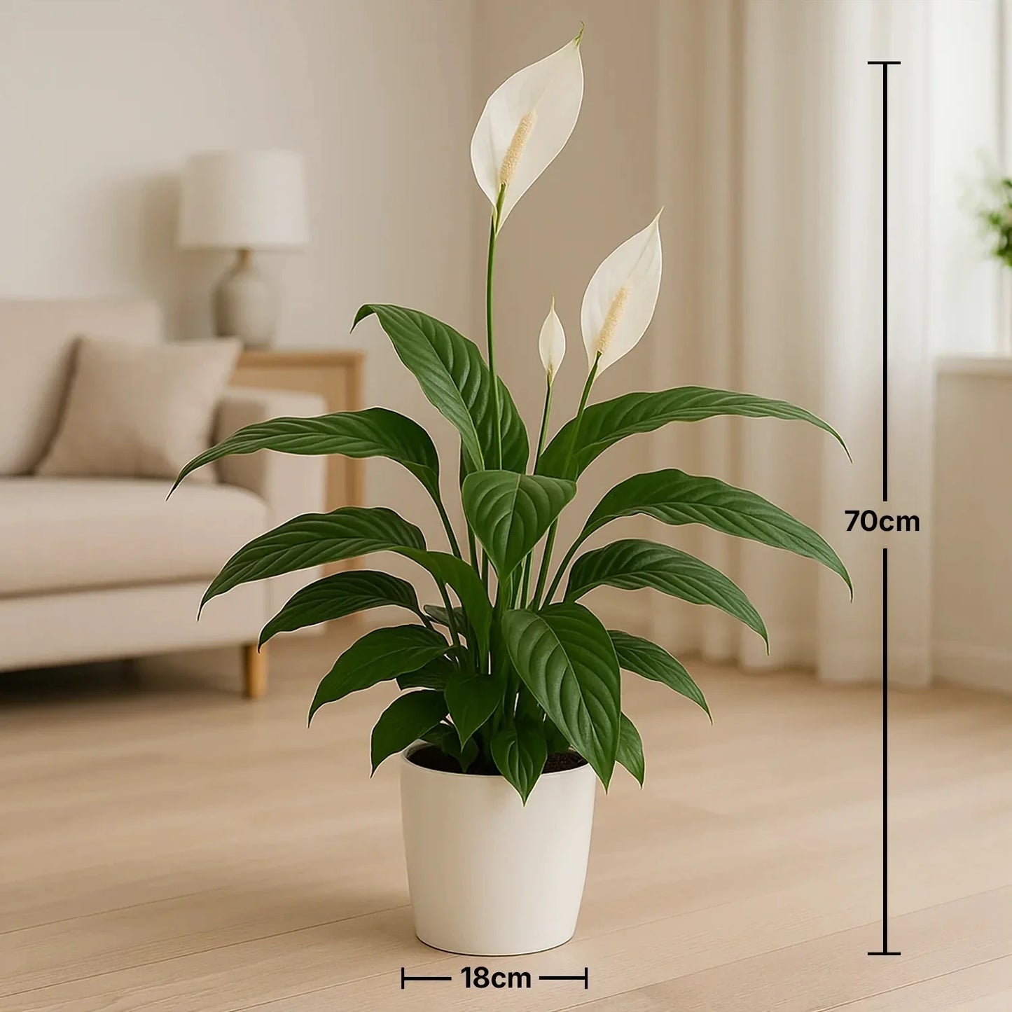 نبات زنبقة السلام الأنيق في وعاء بلمسة رخامية